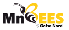 MnBees Gafsa - Gafsa Nord